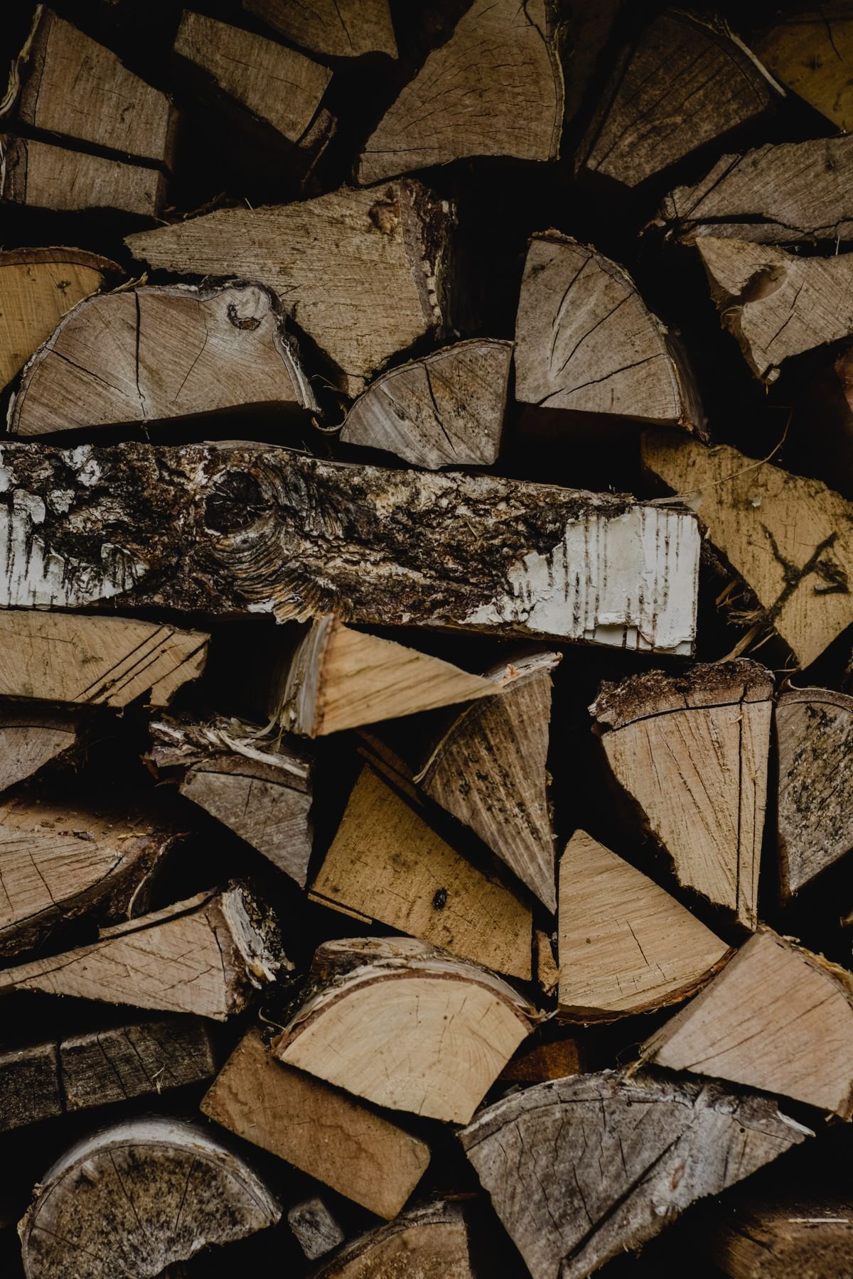Briquette de bois compressée 100 % hêtre