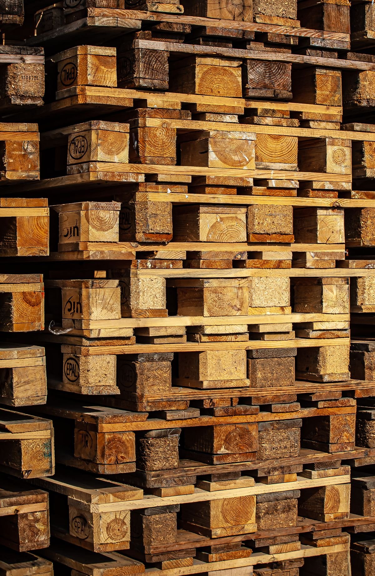 Palette de bois de chauffage filmée — 3 stères