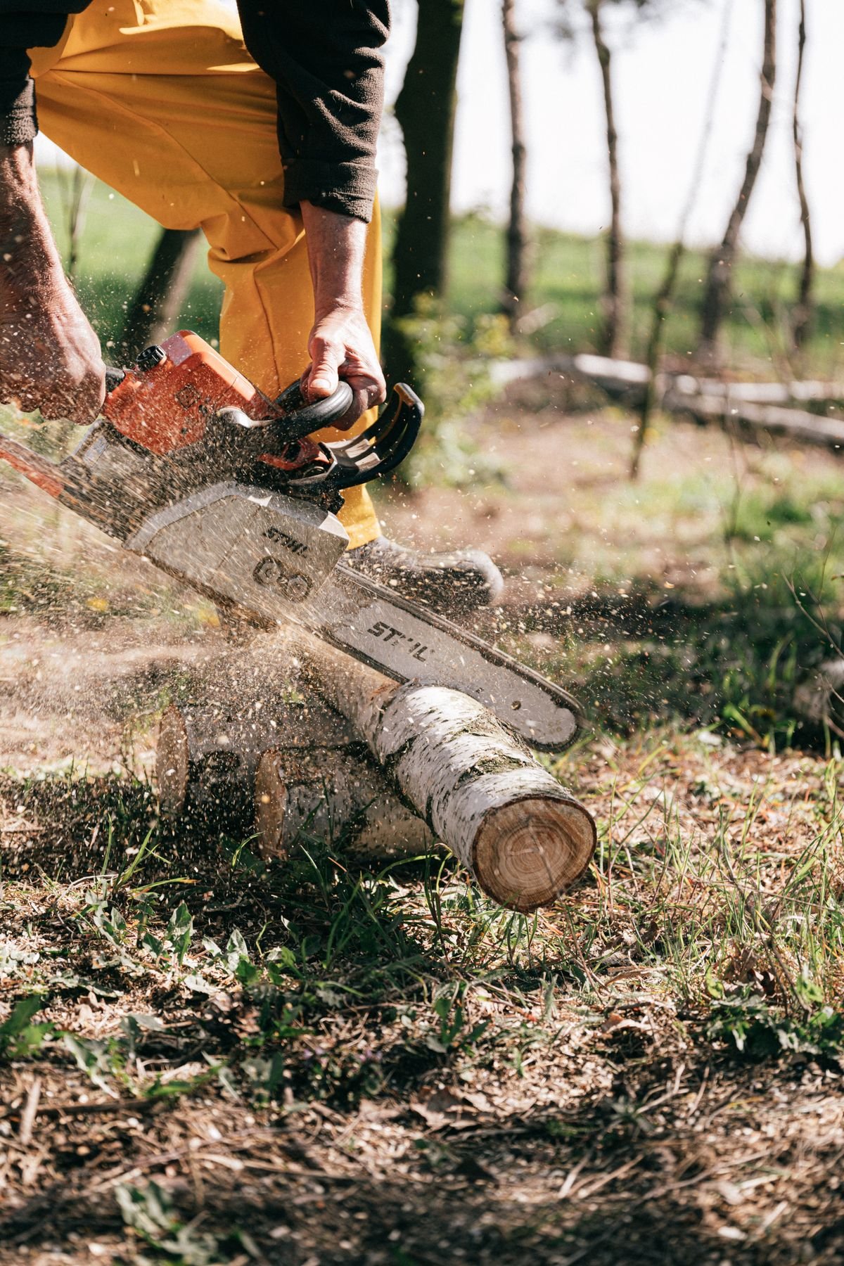 Tronçonneuse Stihl MS 193 T